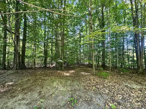 lot21 Wonder Strasse #LOT : 21, Bellaire, MI 49615