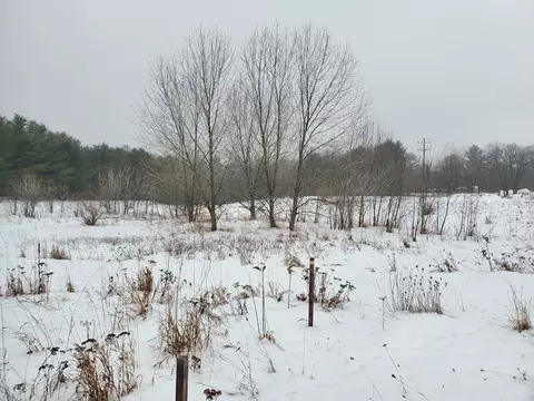 2788 Greenwood, Prescott, MI 48756