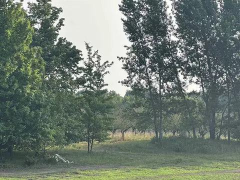 Parcel 11 Karnes, Glen Arbor, MI 49636