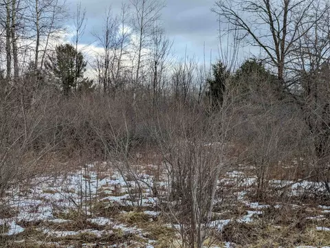N/a Lehman, Twining, MI 48766 photo 11