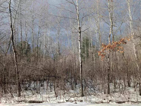 N/a Lehman, Twining, MI 48766 photo 8