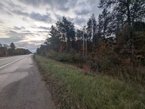 N/a E Huron, Omer, MI 48749 photo 4