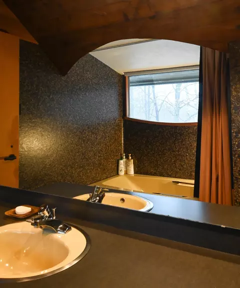 Bath - 4210 S S Blf, Cedar, MI 49621 photo 6 of 10