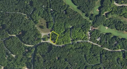 lot195 Troon S, Bellaire, MI 49615