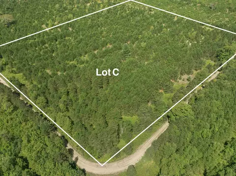 15 Acres C Wallin, Thompsonville, MI 49683
