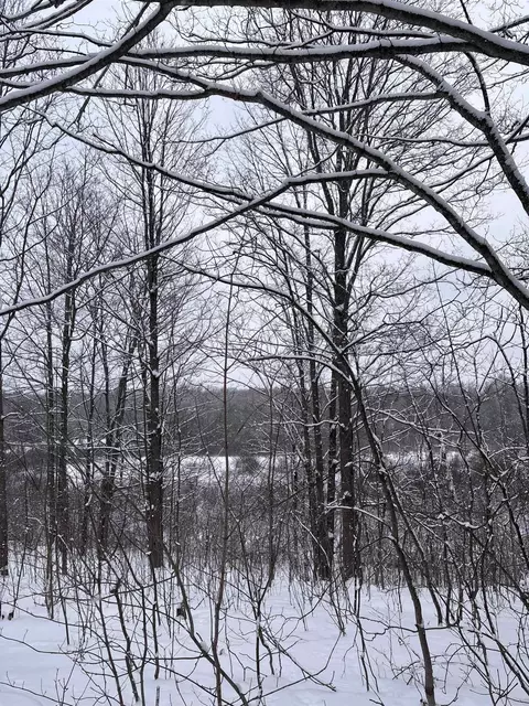 Vl 10 Lake Louise, Interlochen, MI 49643