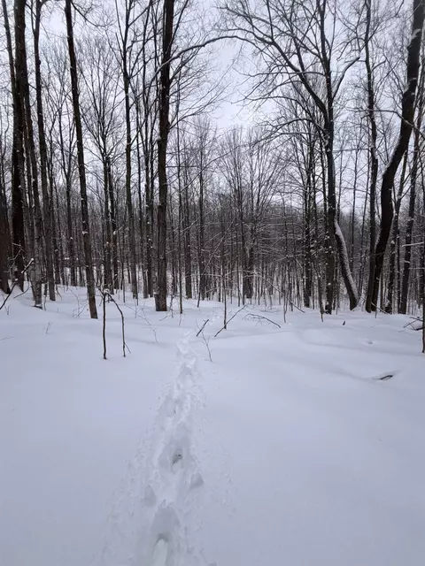 Vl 22 Lake Louise, Interlochen, MI 49643