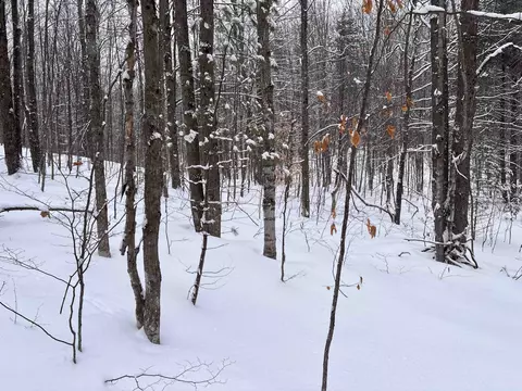 Vl 23 Lake Louise, Interlochen, MI 49643