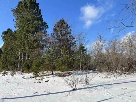00 Platte, Beulah, MI 49617