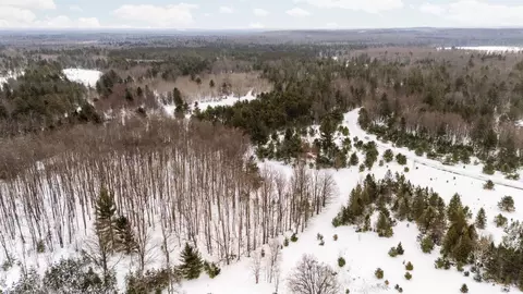 323 SE Blue Heron #LOT : 53, Kalkaska, MI 49646