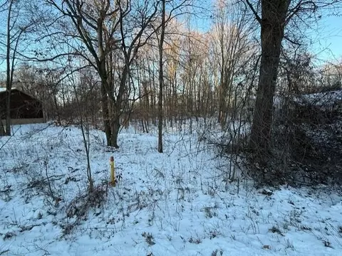 tbd Hardwood, Perrinton, MI 48871