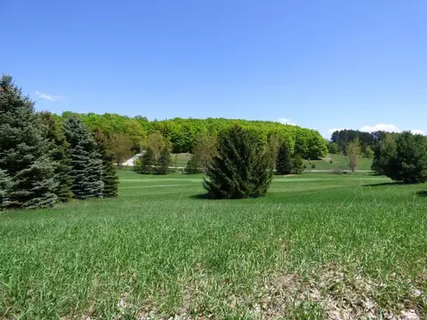 Unit 37 Golf Meadows, Bellaire, MI 49615