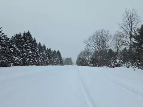 lot E Saint Johns, Interlochen, MI 49643 photo 6