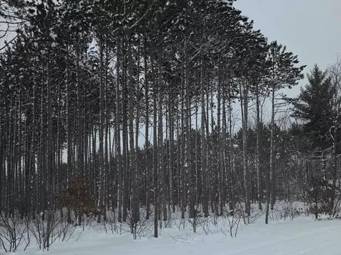 lot E Saint Johns, Interlochen, MI 49643 photo 5