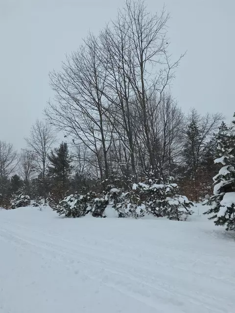 lot E Saint Johns, Interlochen, MI 49643 photo 7