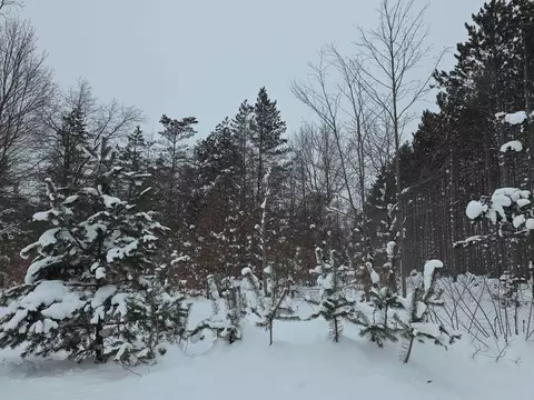 lot E Saint Johns, Interlochen, MI 49643