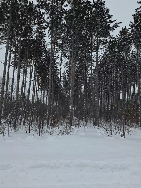 lot E Saint Johns, Interlochen, MI 49643 photo 8