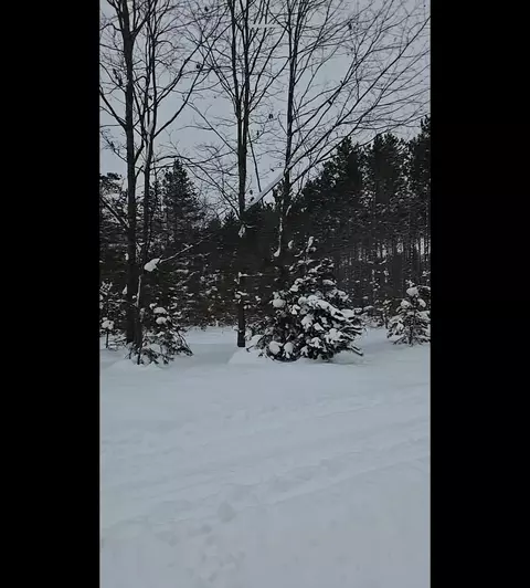 lot E Saint Johns, Interlochen, MI 49643 photo 9
