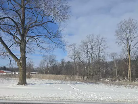S Pine River, Ithaca, MI 48847 photo 2