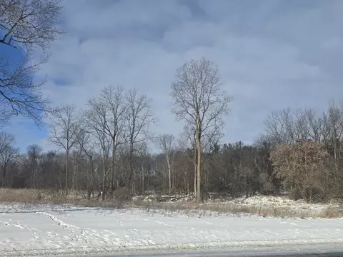 S Pine River, Ithaca, MI 48847 photo 3