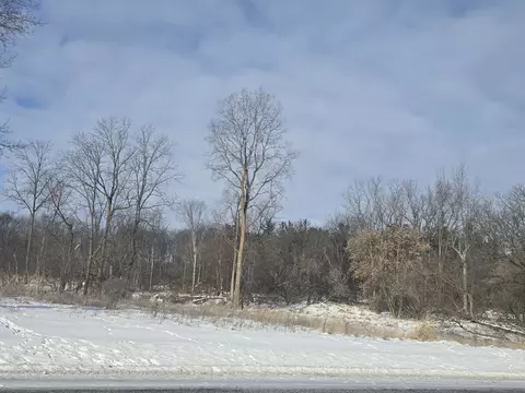 S Pine River, Ithaca, MI 48847