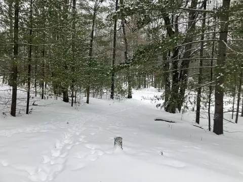 Vl Wilderness, Alger, MI 48610
