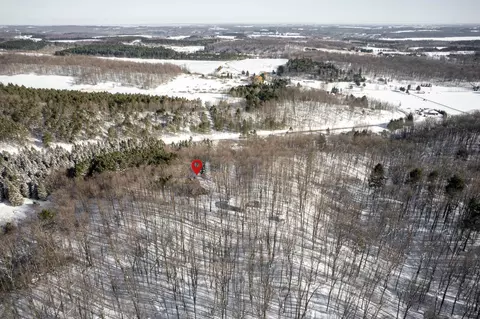 View/Area - 2995 S Schomberg #LOT : 2, Cedar, MI 49621 photo 5 of 7