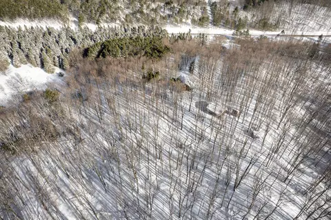 View/Area - 2995 S Schomberg #LOT : 2, Cedar, MI 49621 photo 4 of 7
