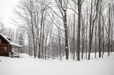 Exterior - 2995 S Schomberg #LOT : 2, Cedar, MI 49621 photo 10 of 18