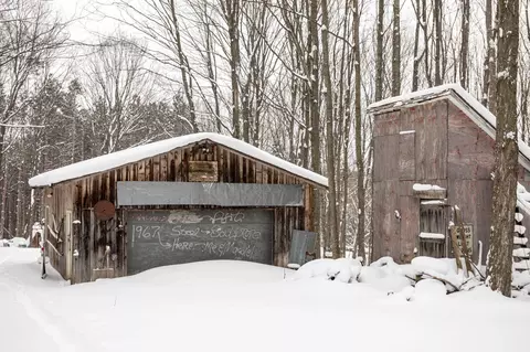 Exterior - 2995 S Schomberg #LOT : 2, Cedar, MI 49621 photo 12 of 18