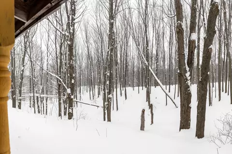 Exterior - 2995 S Schomberg #LOT : 2, Cedar, MI 49621 photo 7 of 18