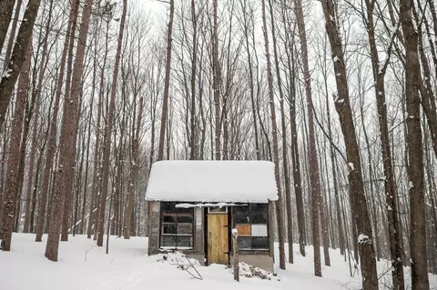 Other - 2995 S Schomberg #LOT : 2, Cedar, MI 49621 photo 5 of 31