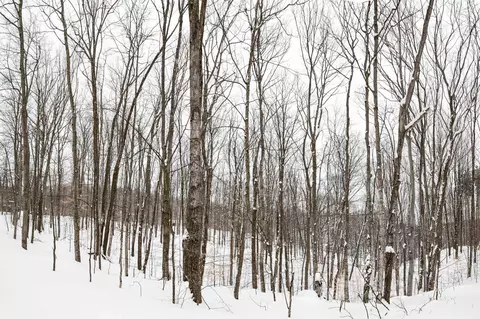 Other - 2995 S Schomberg #LOT : 2, Cedar, MI 49621 photo 3 of 31