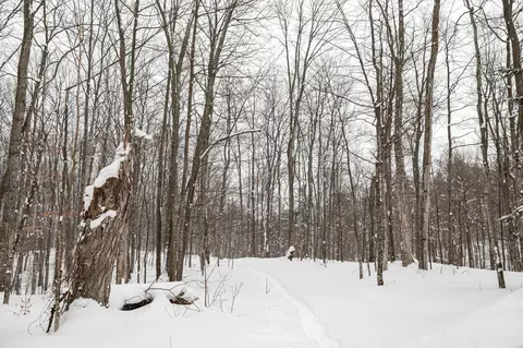 Other - 2995 S Schomberg #LOT : 2, Cedar, MI 49621 photo 27 of 31