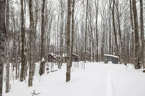Exterior - 2995 S Schomberg #LOT : 2, Cedar, MI 49621 photo 14 of 18