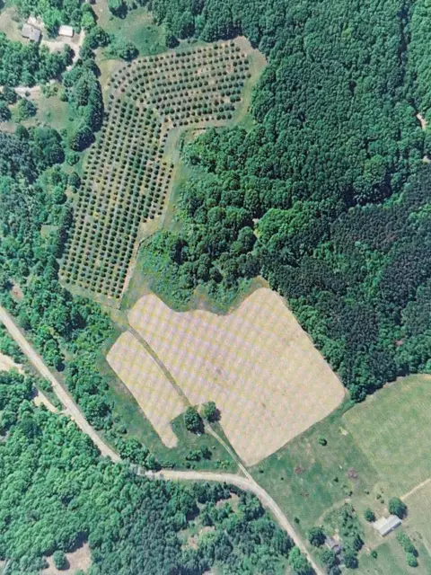 1330 Eden Hl, Beulah, MI 49617