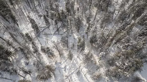 00 E 14, Manton, MI 49663 photo 20