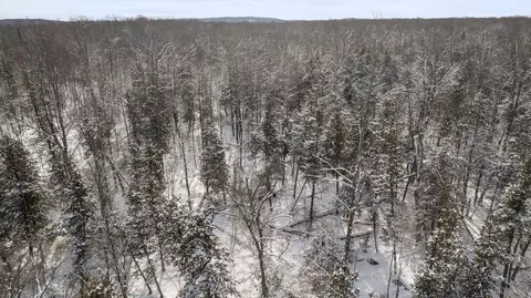 00 E 14, Manton, MI 49663 photo 21