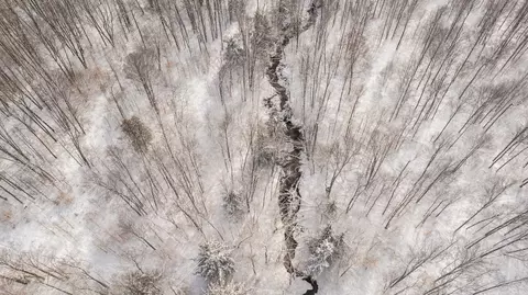 00 E 14, Manton, MI 49663 photo 36