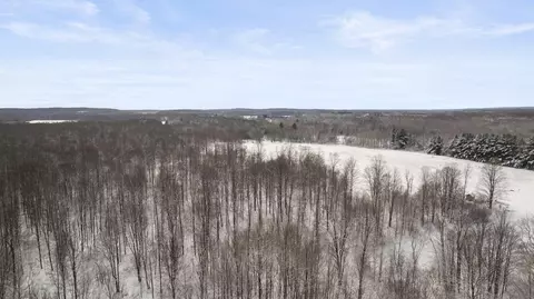 00 E 14, Manton, MI 49663 photo 26