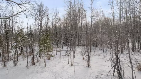 00 E 14, Manton, MI 49663 photo 25