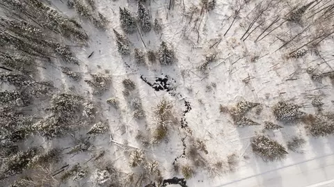 00 E 14, Manton, MI 49663 photo 33