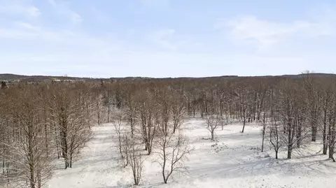 00 E 14, Manton, MI 49663 photo 15