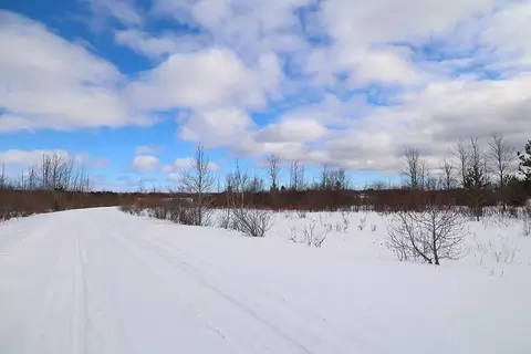 6412 Lora Bette, Alanson, MI 49706 photo 3