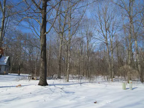 5877 Huron Woods, Tawas City, MI 48763