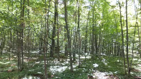 00 Haze, Beulah, MI 49617
