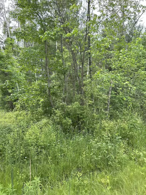 V/l Radov, Gladwin, MI 48624 photo 2