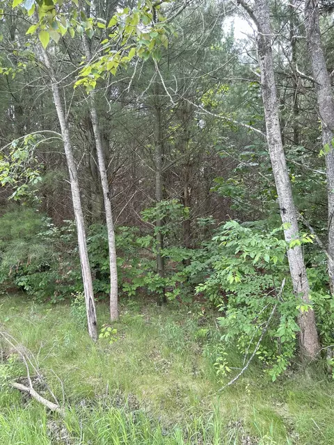 V/l Radov, Gladwin, MI 48624 photo 3