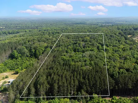 Vl W Phelps, Manton, MI 49663