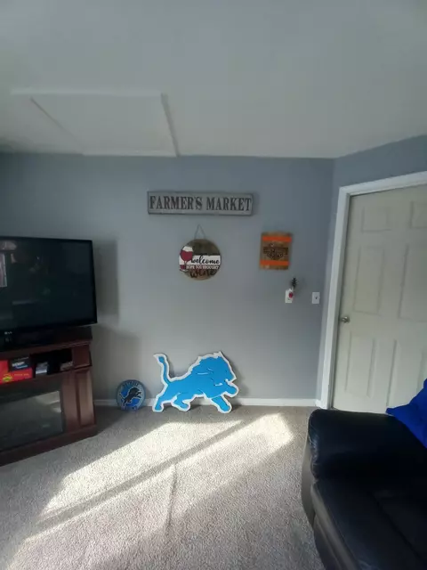 Other - 806 S Main, Au Gres, MI 48703 photo 9 of 12